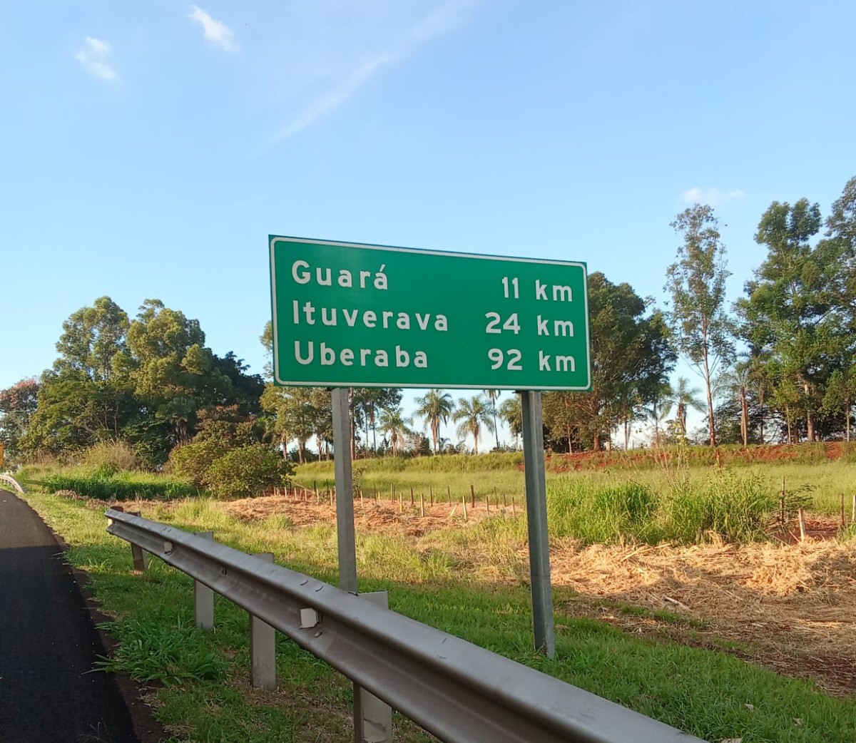Americana SP